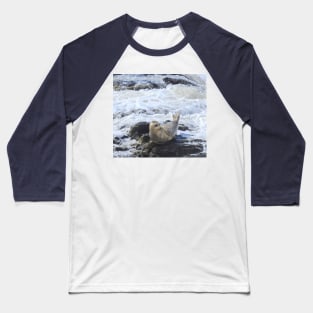 Harbor seal, marine life, wildlife, Pacific Pup Baseball T-Shirt